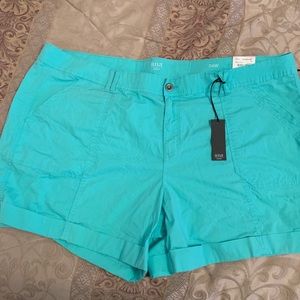 NWT mint green size  24 a.n.a shorts